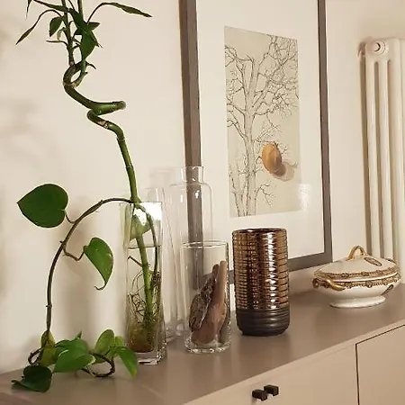 Casa La Bella * Камайоре